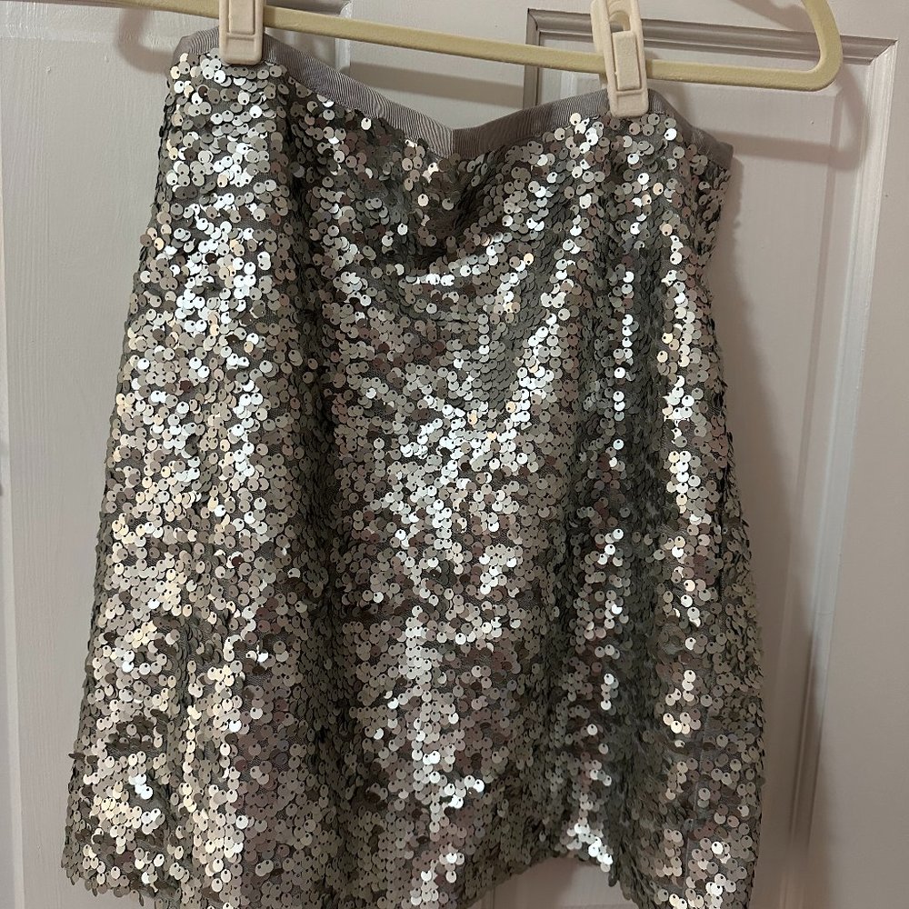 J. Crew Silver Sequin Skirt sz 8